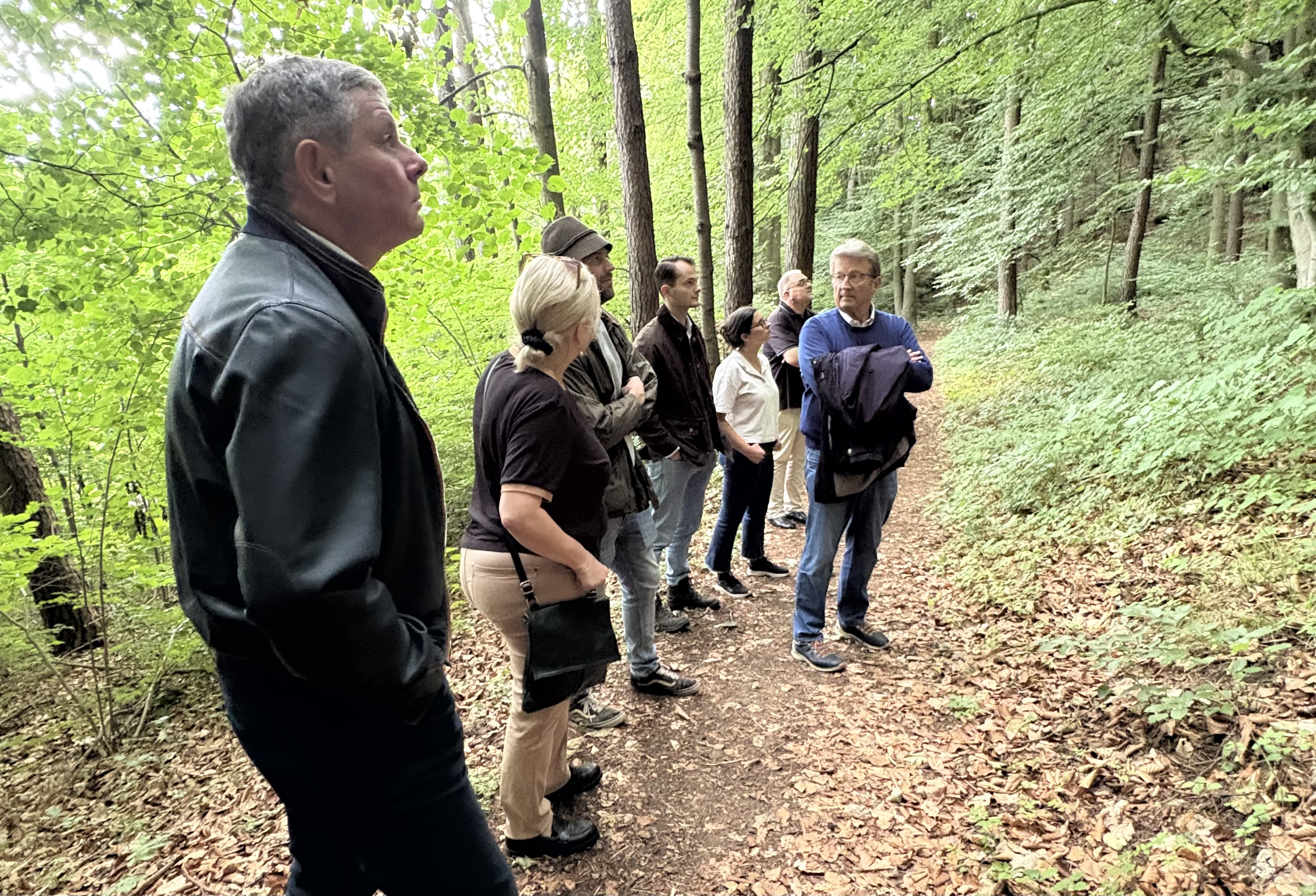 Waldspaziergang mit der FDP im Nürnberger Land.